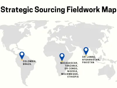 Strategic Gemstone Sourcing Fieldwork Map