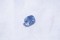 Vivid Blue Sapphire - unheated - AGL certified - 1.71 ct - cushion cut