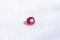 Ruby - Vivid Red - GIA Certified - 0.759 ct - Cushion Cut - Eye Clean