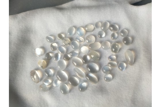 Unheated Rainbow Moonstone Lot - 63.75 ct - VVS-VS Clarity - Lab Certified